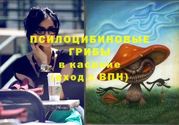 кокс Алексин