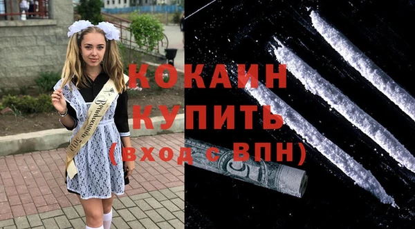 кокс Алексин