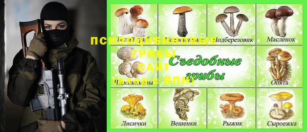 кокс Алексин