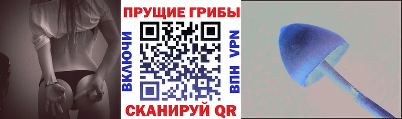 Галлюциногенные грибы Magic Shrooms  купить наркотик  Усть-Джегута 